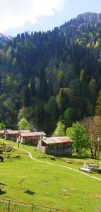 a grassy field with a building in front of a mountain at Ayder Vesile Otel in Ayder Yaylasi