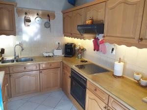 a kitchen with wooden cabinets and a sink and a stove at Casa Anica in Sulina