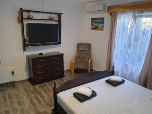 a bedroom with two beds and a flat screen tv at Casa Anica in Sulina