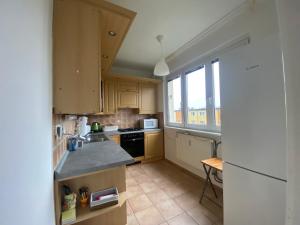 Kuchyň nebo kuchyňský kout v ubytování Apartment Šimon II.