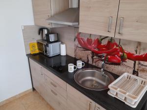 Kuchyň nebo kuchyňský kout v ubytování Honey Apartment