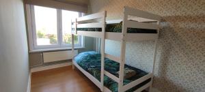 Cette chambre comprend 2 lits superposés et une fenêtre. dans l'établissement Kind -& diervriendelijk huisje, à La Panne
