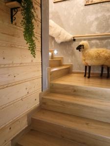 Fotografia z galérie ubytovania Apartament - Willa Na Górskim Szlaku v destinácii Murzasichle