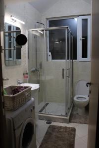 ein Bad mit einer Dusche, einem WC und einem Waschbecken in der Unterkunft Apartman ALEX LUX in Vrnjačka Banja