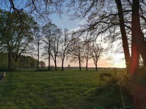Příroda nedaleko apartmánu + 7 fotografií
