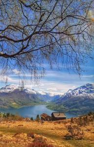 a house on a hill next to a lake with snow covered mountains at Bjørkelia Lodge in Vassenden