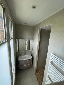 a bathroom with a sink and a mirror at Le Pavillon de la mare in Avrainville