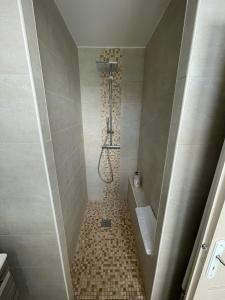 a bathroom with a shower with a tub and a tile floor at Le Pavillon de la mare in Avrainville