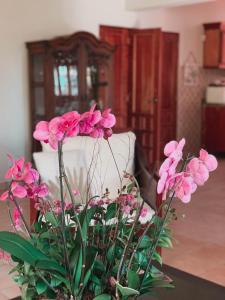 a vase filled with pink flowers on a table at Villa paloma in Constanza