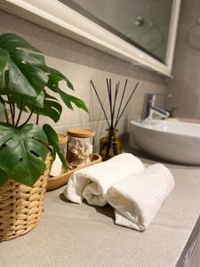 a bathroom with towels and a plant on a counter at Hillside View in Plentzia