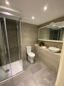 a bathroom with a shower and a toilet and a sink at Hillside View in Plentzia