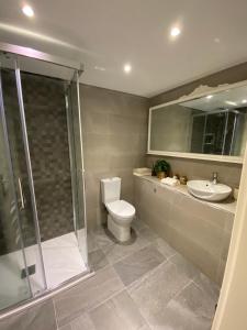 a bathroom with a shower and a toilet and a sink at Hillside View in Plentzia +15 photos