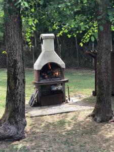 a wood fired oven in a park with two trees at Lodge, in mezzo alla natura in Roccatederighi