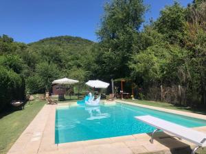 a swimming pool in a yard with a person in a inflatable at Lodge, in mezzo alla natura in Roccatederighi