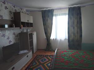 a small bedroom with a bed and a window at Casa Turcoaz in Sviniţa +10 photos