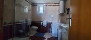 ein Badezimmer mit Dusche, Toilette und Waschbecken in der Unterkunft Villa Ana in Vodice + 31 Fotos
