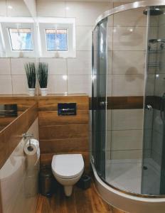 a bathroom with a toilet and a glass shower at Domek na Mazurach Apartamenty nad jeziorem Warpuny in Warpuny
