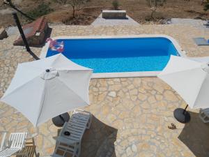 Gallery image of Apartment Olea in Marina +47 photos