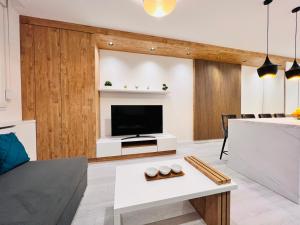 a living room with a fireplace and a tv at Vivio 2 Luxury Apartment in Belgrade