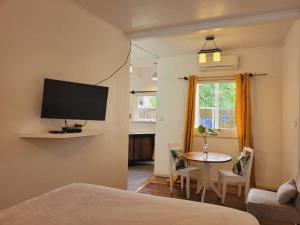 TV o dispositivi per l'intrattenimento presso Lizard King Hotel & Suites