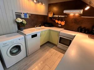 cocina con lavadora y fregadero en Mas de l'Estiou, en Monteux