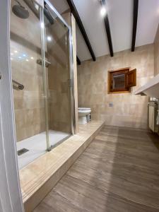 a bathroom with a shower and a toilet at La Casina de la Arquera in Llanes