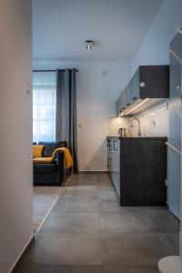 Kuchyňa alebo kuchynka v ubytovaní Apartamenty Ustronne Liściasta