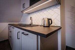 Kuchyňa alebo kuchynka v ubytovaní Apartamenty Ustronne Liściasta