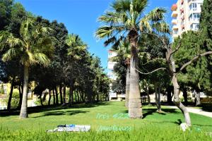 A garden outside Acuarela Studio in Benalmádena
