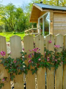 a wooden fence with pink flowers in front of a house at Dryw bach glamping hut in Llandeilo