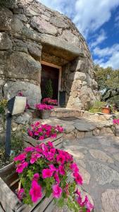 a stone wall with a stone wall with flowers in it at Il Nuraghe del lago Coghinas in Oschiri