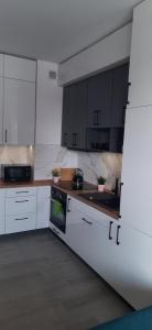 Kuchyňa alebo kuchynka v ubytovaní Apartament 59 JUSTI
