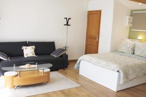 ein Wohnzimmer mit einem Bett und einem Couchtisch in der Unterkunft Saint Etienne : appartement Châteaucreux 40 M2 in Saint-Étienne