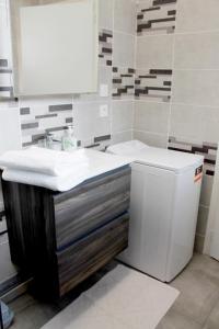 a bathroom with a sink and a toilet at Saint Etienne : appartement Châteaucreux 40 M2 in Saint-Étienne