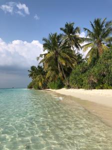 a beach with palm trees and the ocean at Tides Dhigurah in Dhigurah