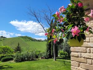 A garden outside Agriturismo Fiorano