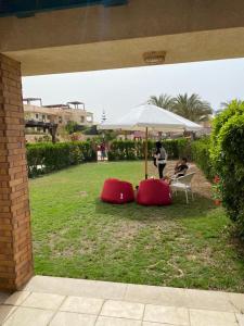 A garden outside شاليه ارضى بحديقه بقريه ديمورا بالساحل الشمالي كيلو ٧٥