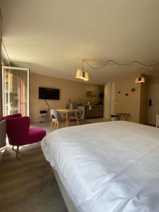 a bedroom with a large white bed and a living room at Romantique "comme à Venise" au bord de l'eau avec parking in Metz