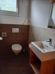 a bathroom with a toilet and a sink at Holiday home in Kappl Paznauntal 42411 in Kappl