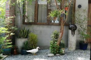 Zahrada ubytování Kaia Gallery Hotel Hoi An