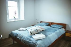 a bedroom with a bed with blue sheets and a window at Apartma Moser in Podnanos +8 photos