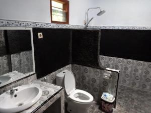 a bathroom with a sink and a toilet and a mirror at Juda Homestay in Banyuwangi