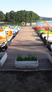 Příroda nedaleko hostelu