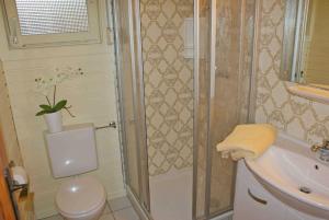 a bathroom with a shower and a toilet and a sink at Blockhaus mit W LAN sehr strandnah in Damp +8 photos