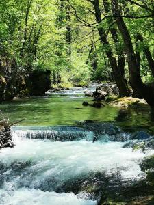 Fotografie z fotogalerie ubytování Studio Sanja v destinaci Soko Banja