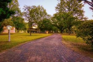 O grădină în afara Riverside Rhapsody, Vaal River, Vanderbijlpark