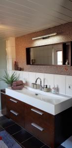 a bathroom with a large sink and a mirror at Ferienwohnung Malu-Sol in Allrode