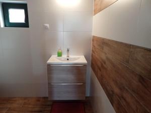 a bathroom with a sink and a wooden wall at Elza Guesthouse in Rimetea