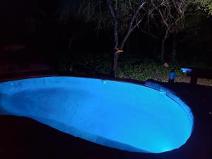 a blue pool in a yard at night at Adventure Bush Villa in Marloth Park
