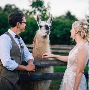 a man and woman standing next to a kangaroo at Skipbridge farm glamping in York +62 photos
